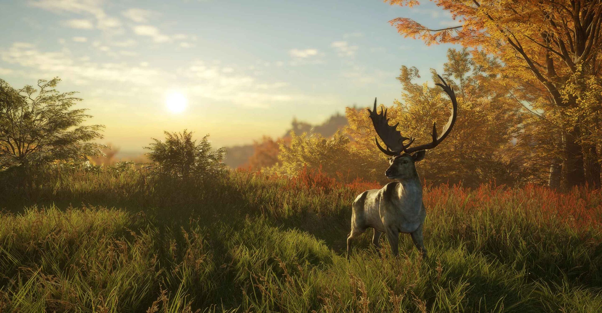 TheHunter: Call of the Wild из Game Pass обновят до Xbox Series X | S: с сайта NEWXBOXONE.RU
