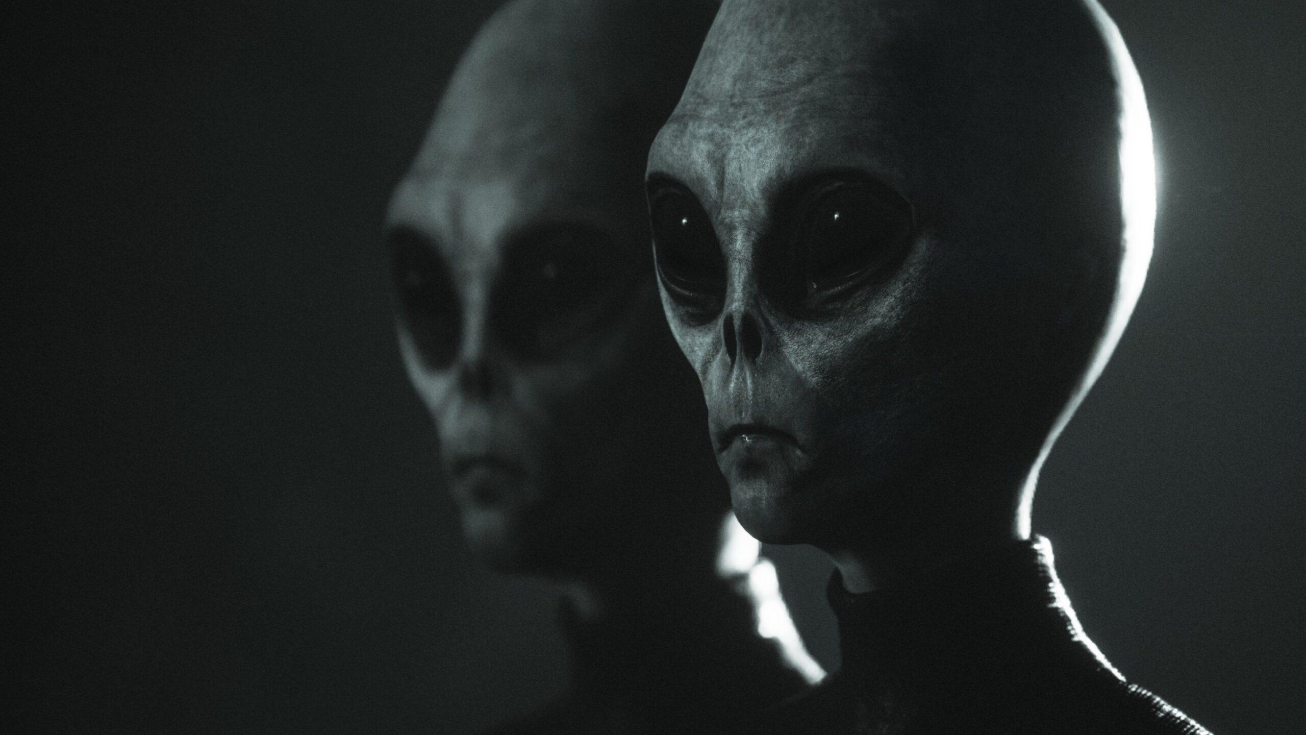 Хоррор про пришельцев Greyhill Incident выйдет на Xbox Series X | S в июне: с сайта NEWXBOXONE.RU