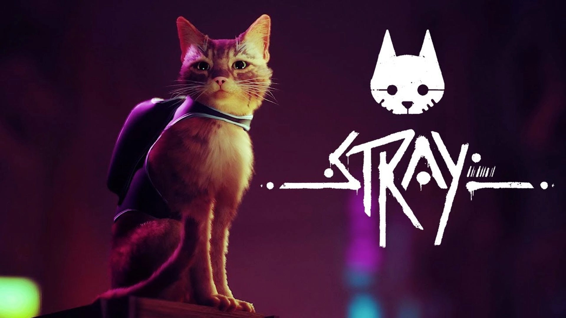 Официально: STRAY выходит на приставках Xbox уже в августе: с сайта NEWXBOXONE.RU